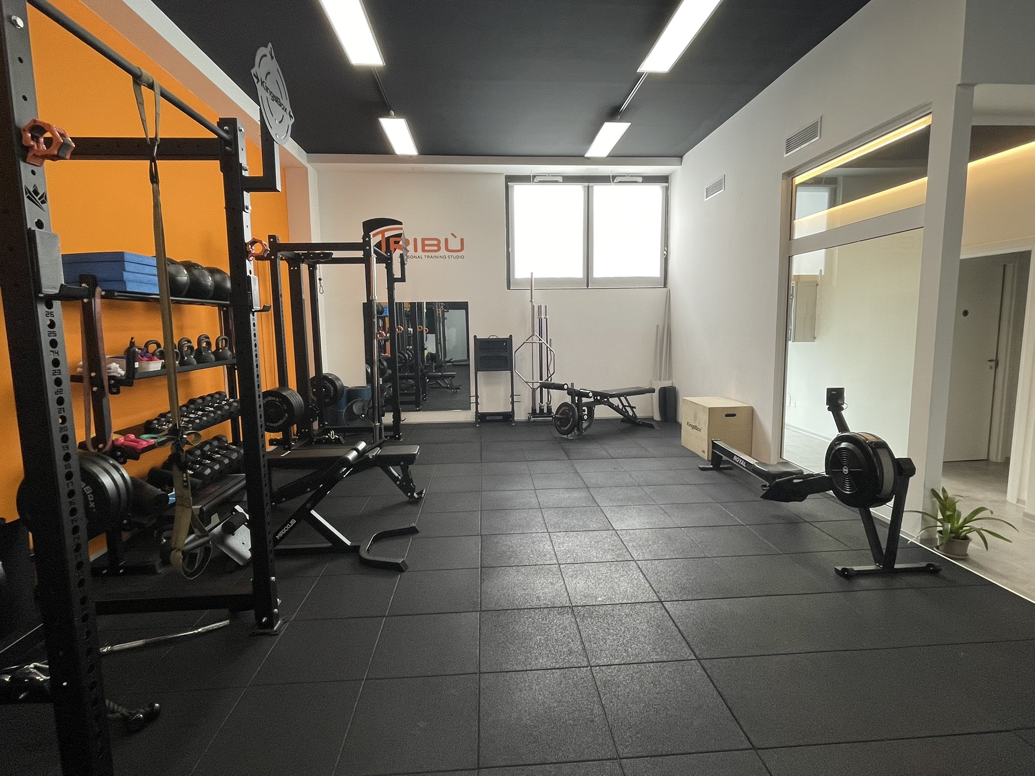 Interno dello studio Tribu